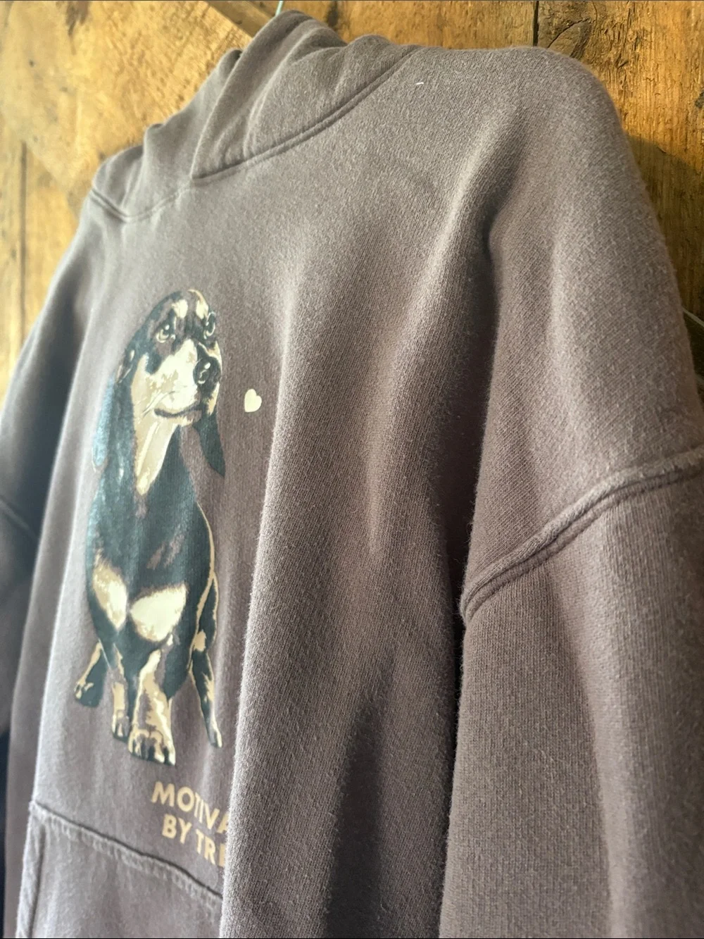 wild fable Brown Dog Graphic Hoodie - Picture 2 of 5